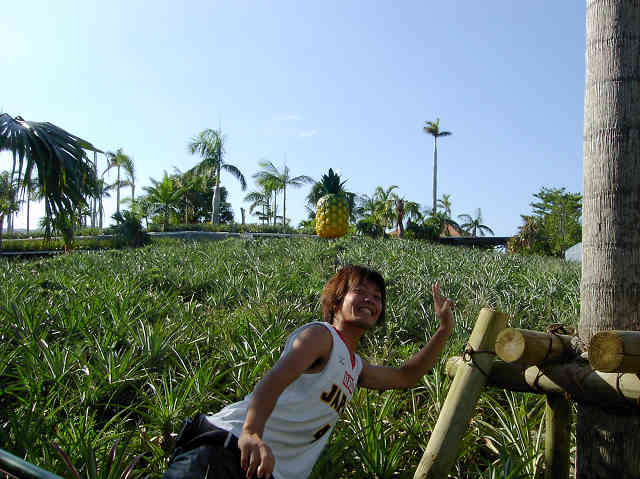 okinawa18.jpg